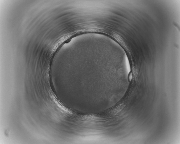 X0000101450389200808041024