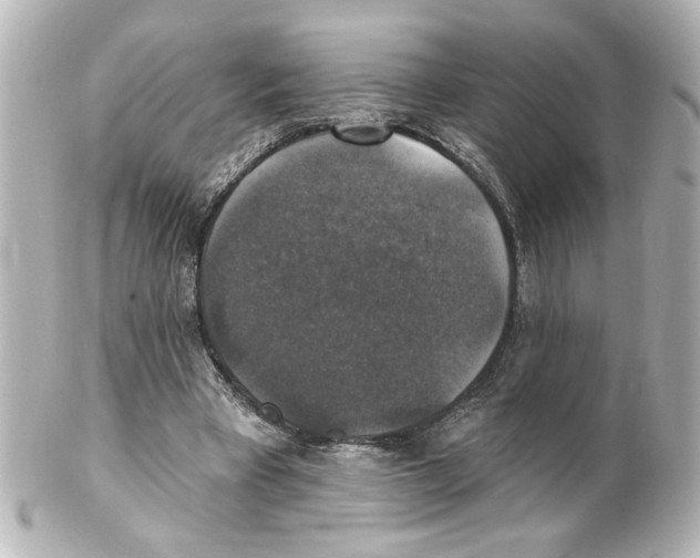 X0000101450393200808041023