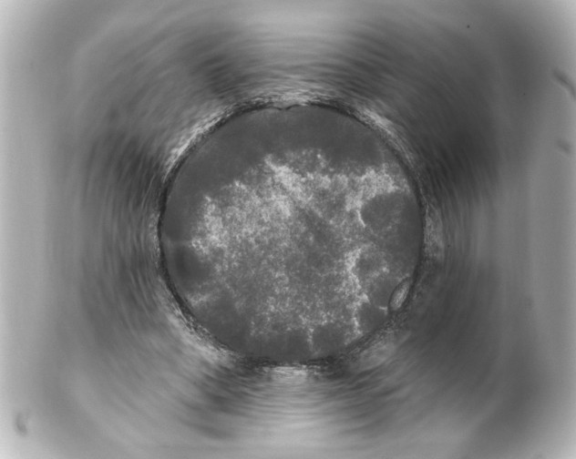 X0000101450394200808041023