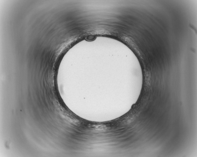 X0000101450395200808041023