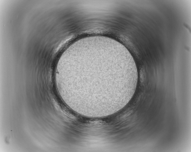 X0000101450396200808041023