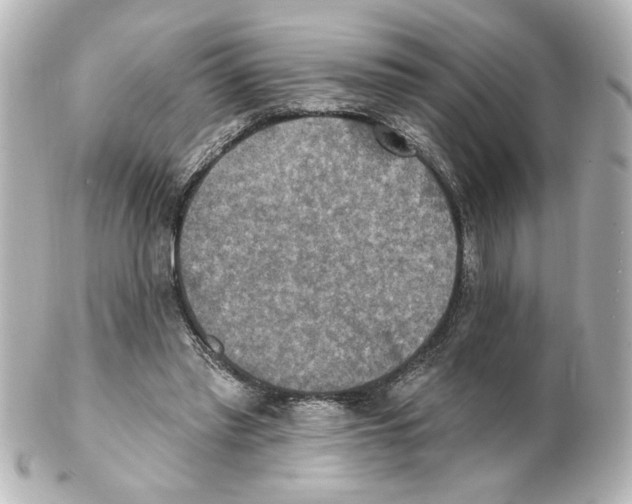 X0000101450397200808041023