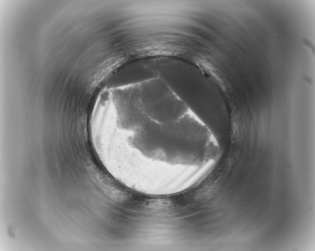 X0000101450398200808041023