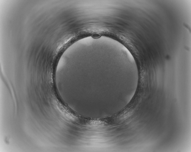 X0000101450399200808041023