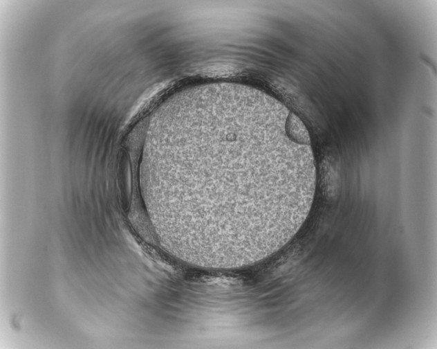 X0000101450400200808041023