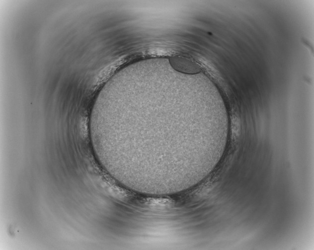 X0000101450401200808041023