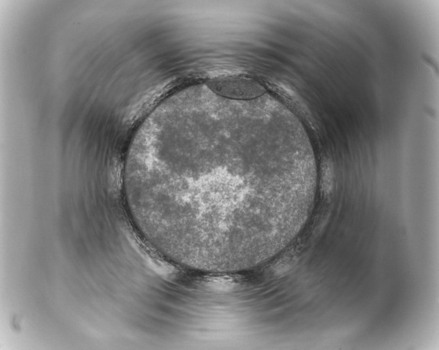 X0000101450405200808041023