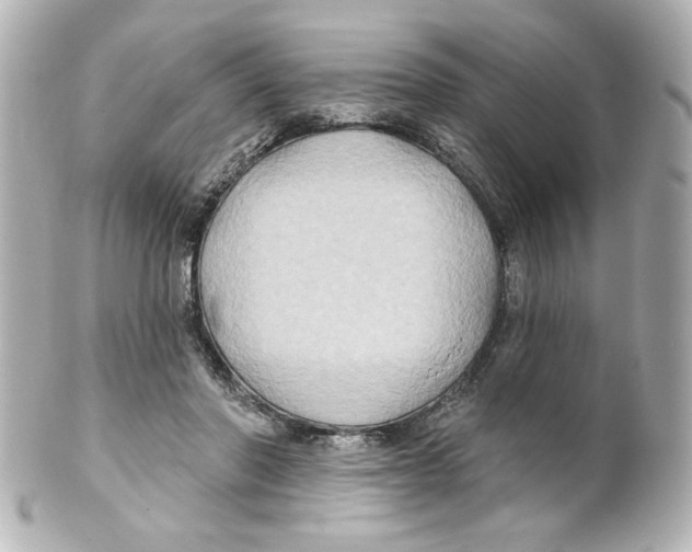 X0000101450406200808041023