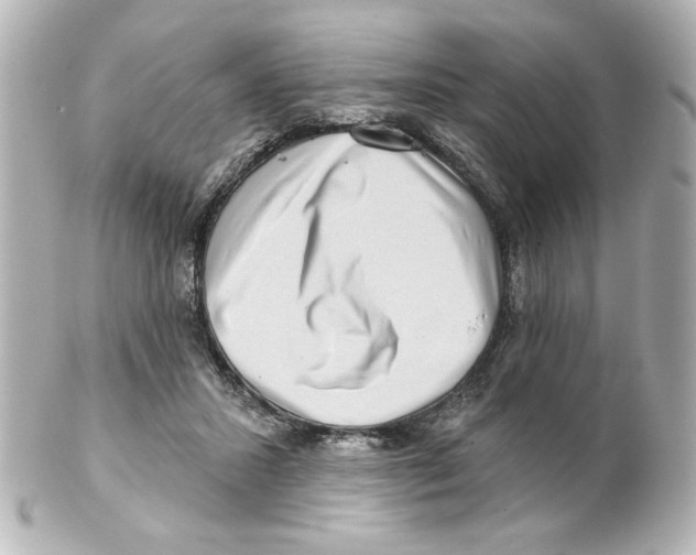 X0000101450407200808041023