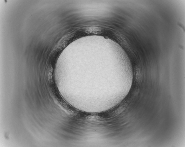 X0000101450408200808041023