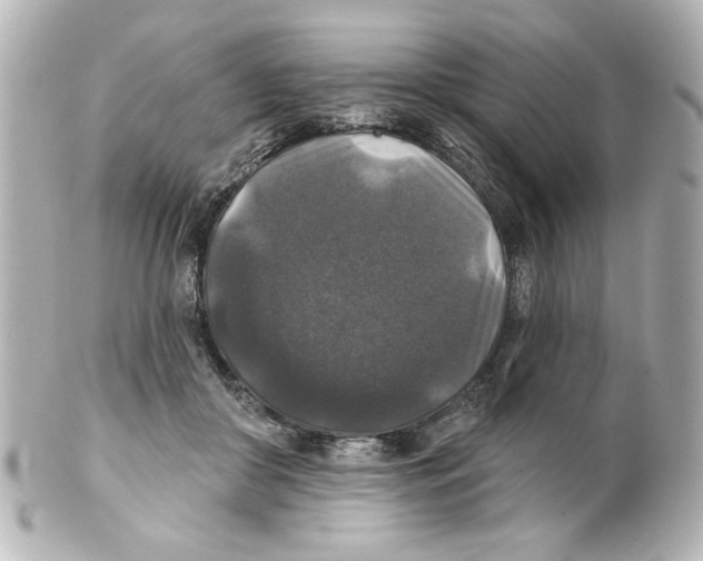 X0000101450410200808041023