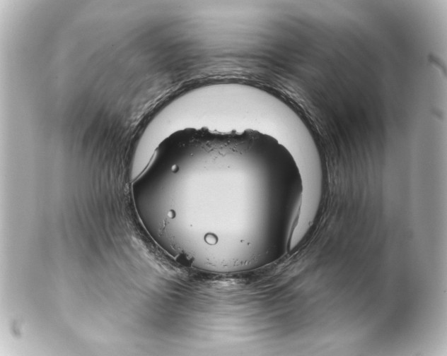 X0000101450411200808041023