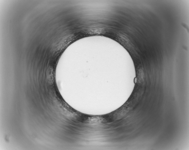 X0000101450414200808041023