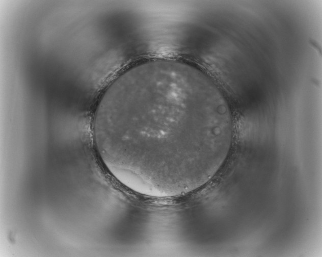 X0000101450415200808041023