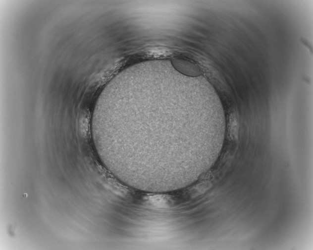 X0000101450417200808041023