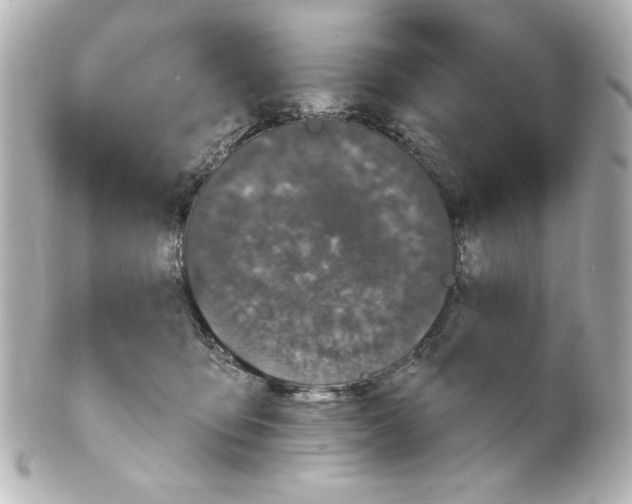 X0000101450419200808041023