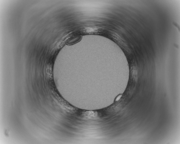 X0000101450421200808041023