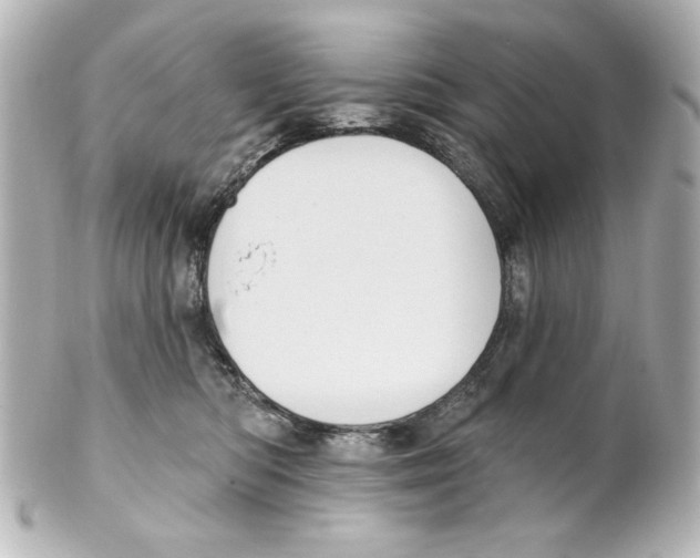 X0000101450422200808041023