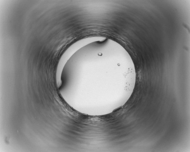 X0000101450423200808041023