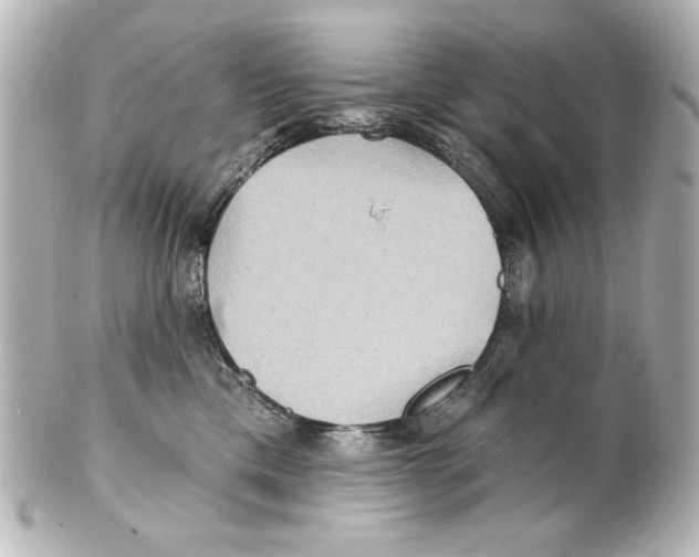 X0000101450425200808041023