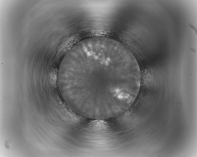 X0000101450427200808041023