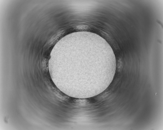 X0000101450428200808041023