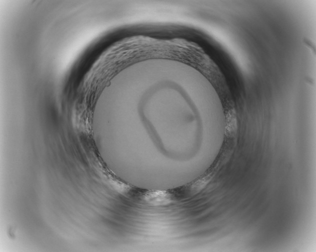 X0000101450431200808041023