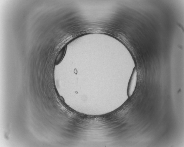 X0000101450433200808041022