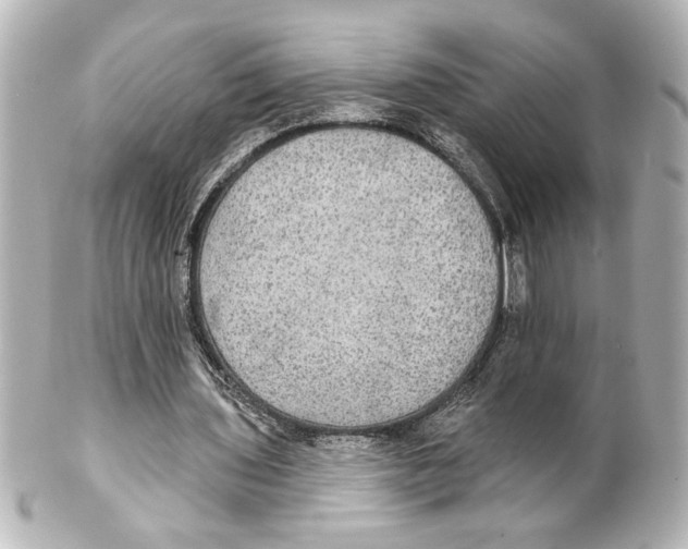 X0000101450435200808041022