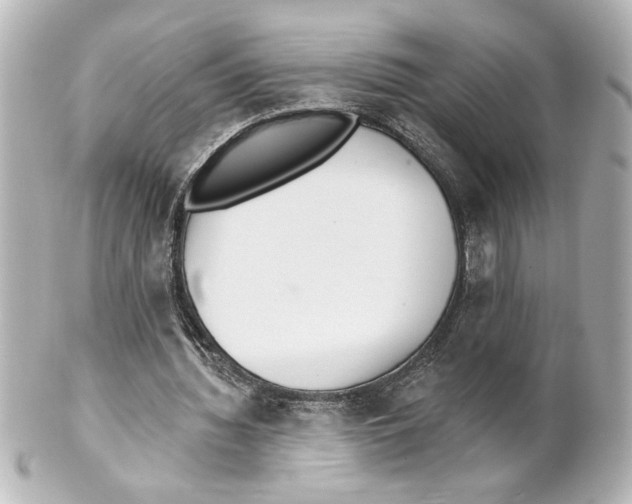 X0000101450436200808041022