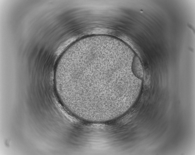 X0000101450437200808041022