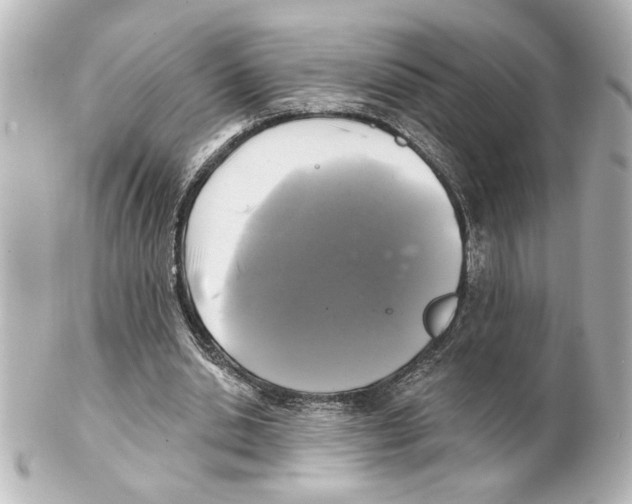 X0000101450438200808041022