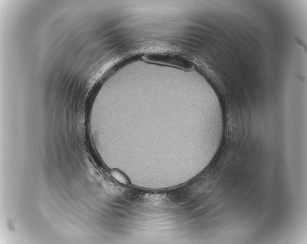 X0000101450440200808041022