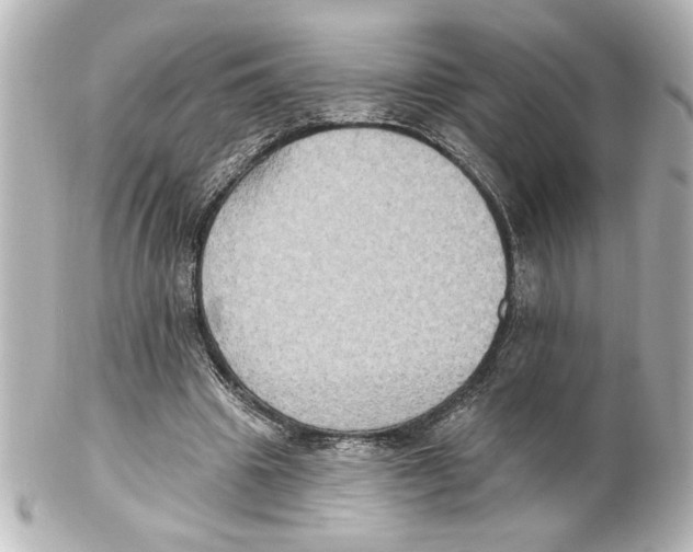 X0000101450441200808041022