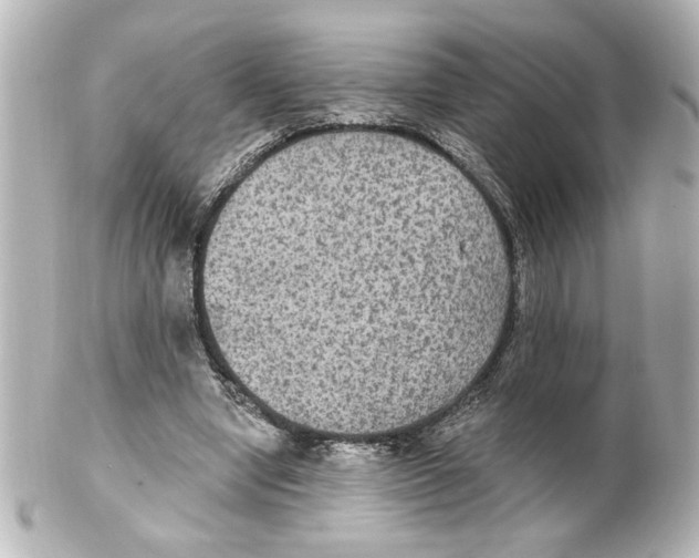 X0000101450442200808041022