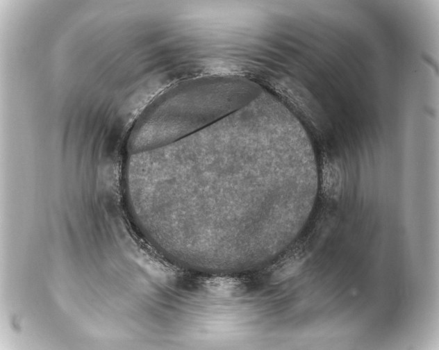 X0000101450444200808041022