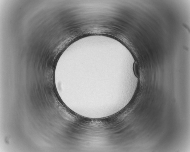 X0000101450445200808041022