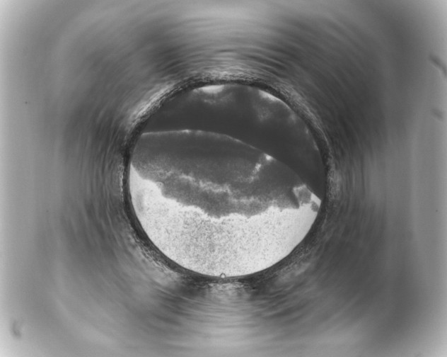 X0000101450446200808041022