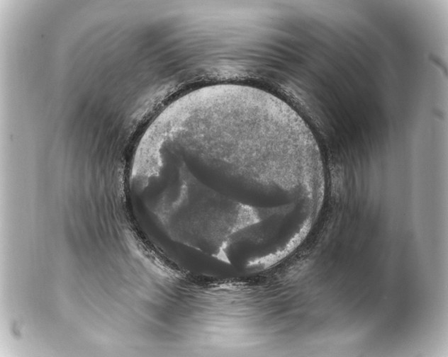 X0000101450447200808041022