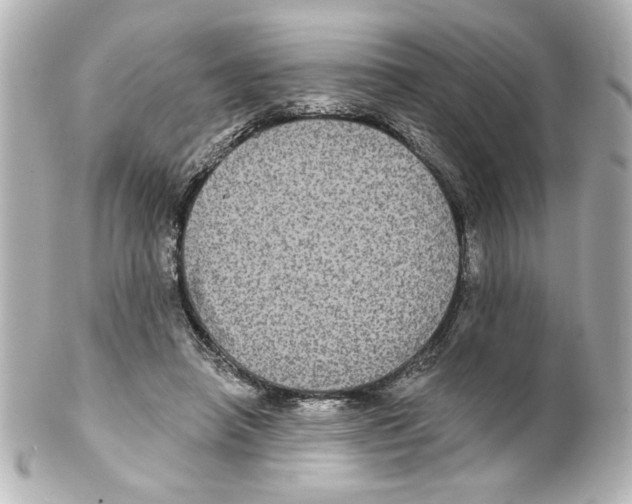 X0000101450450200808041022