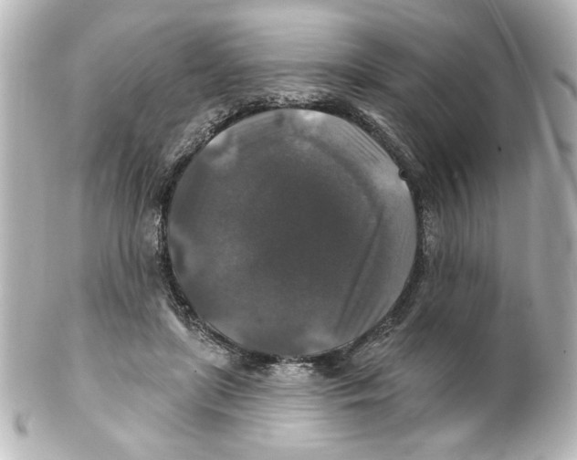 X0000101450451200808041022