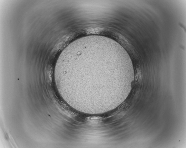 X0000101450452200808041022