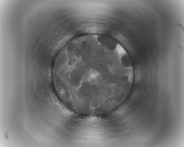 X0000101450453200808041022