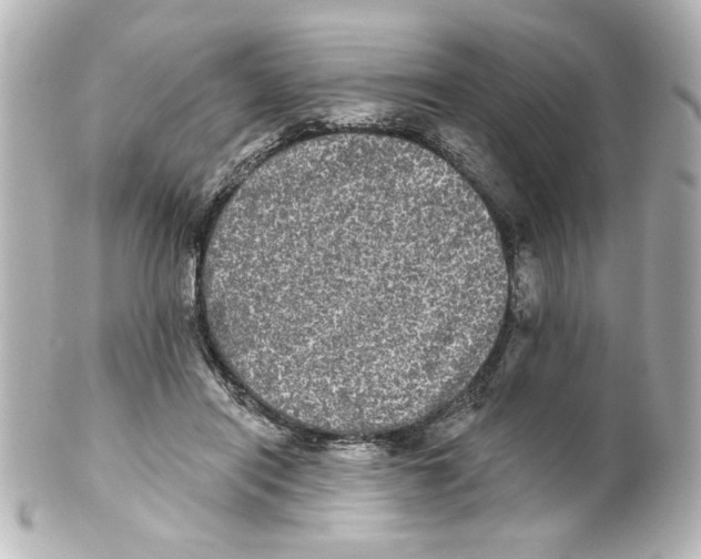 X0000101450454200808041022