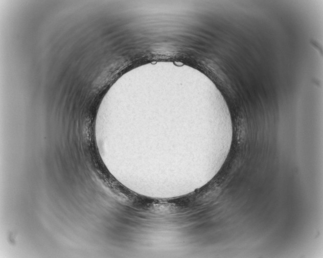 X0000101450455200808041022