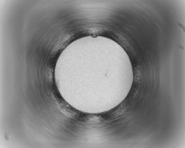 X0000101450456200808041022