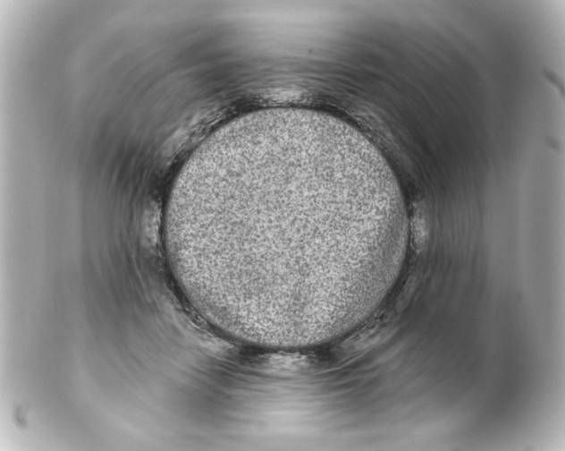 X0000101450458200808041022