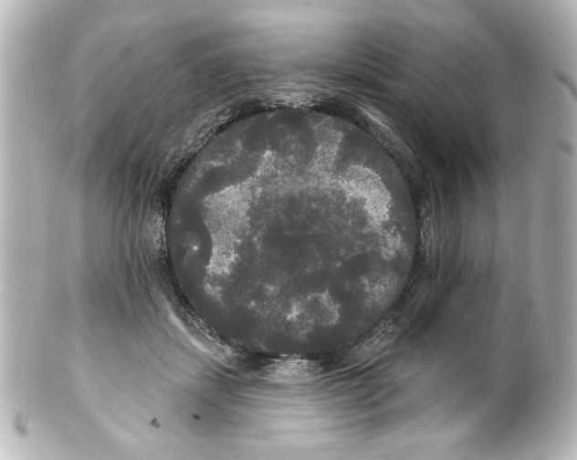 X0000101450459200808041022