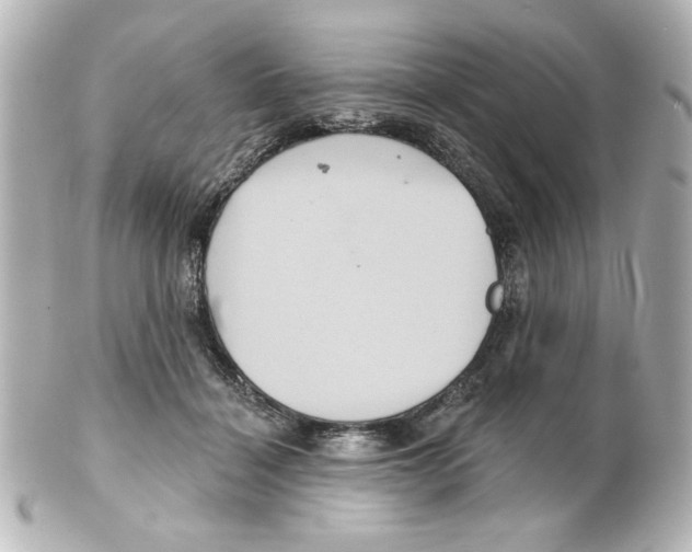 X0000101450460200808041022