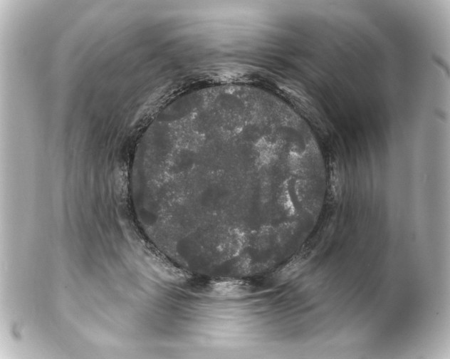 X0000101450461200808041022